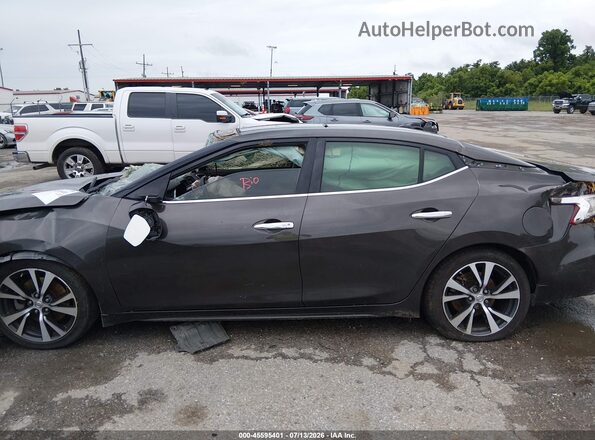 1N4AA6AP0GC404625 2016 NISSAN MAXIMA Gray Սալոնի հետևի տեսք