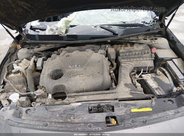 1N4AA6AP0GC404625 2016 NISSAN MAXIMA Gray Հետևի տեսք