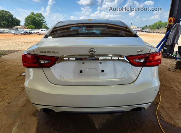 1N4AA6AP0GC434448 2016 NISSAN MAXIMA White უკანა ხედი
