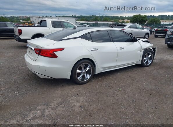 1N4AA6AP0HC384894 2017 NISSAN MAXIMA White Հետևի աջ