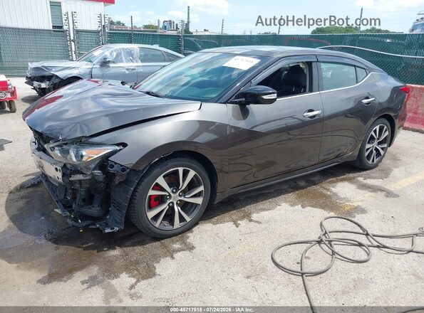 1N4AA6AP1GC402513 2016 NISSAN MAXIMA Коричневый Передняя левая четверть