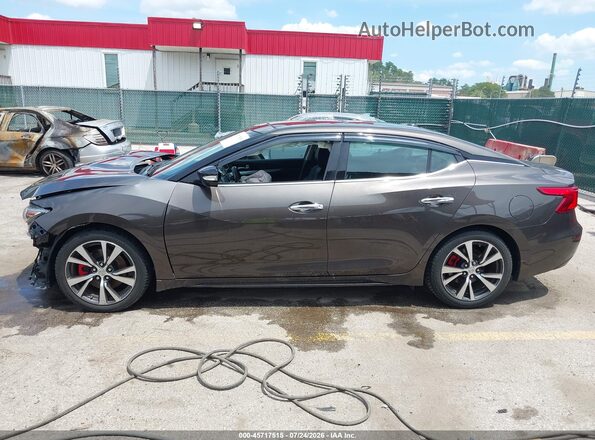 1N4AA6AP1GC402513 2016 NISSAN MAXIMA Коричневый 