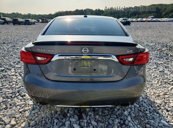 1N4AA6AP1HC430491 2017 NISSAN MAXIMA Серый Вид сзади