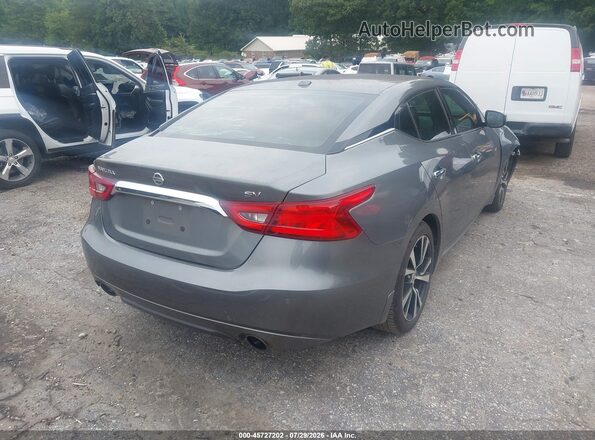 1N4AA6AP1HC450773 2017 NISSAN MAXIMA Gray Rear right