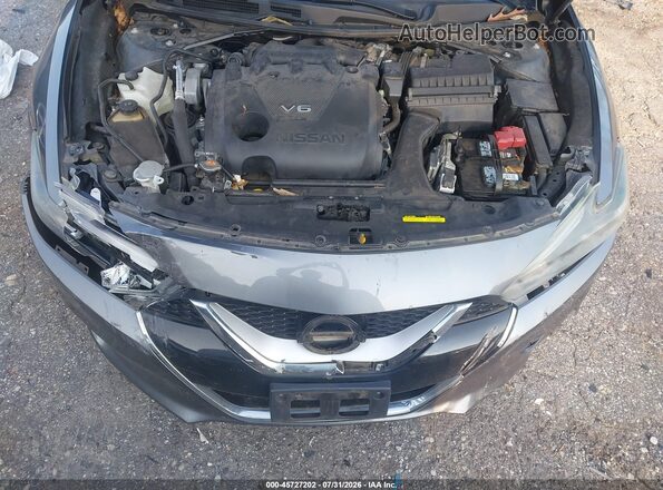 1N4AA6AP1HC450773 2017 NISSAN MAXIMA Gray Rear view