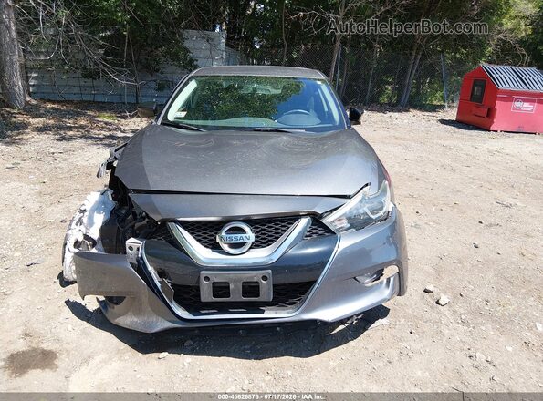 1N4AA6AP2HC389806 2017 NISSAN MAXIMA Серый Вид задней части салона
