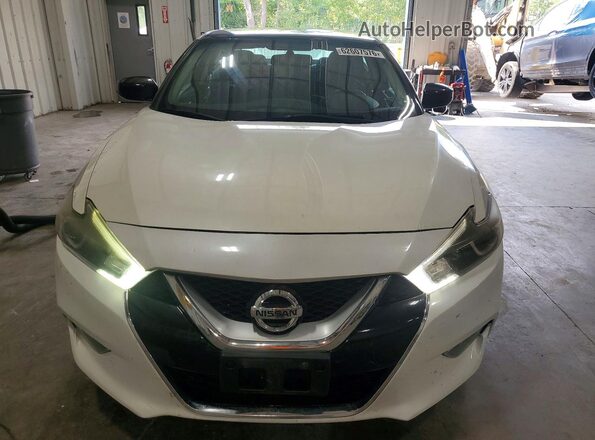 1N4AA6AP2HC445016 2017 NISSAN MAXIMA White Դիմացի տեսք