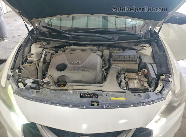 1N4AA6AP2HC445016 2017 NISSAN MAXIMA White Սալոնի հետևի տեսք
