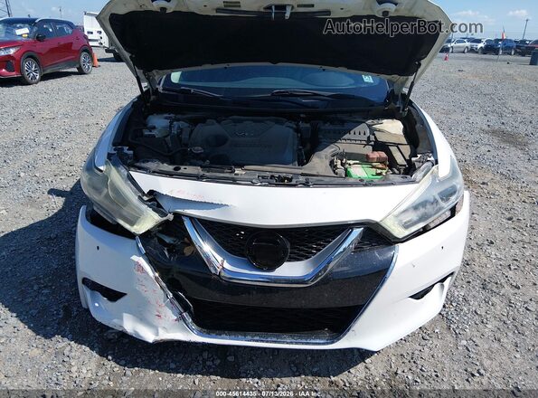 1N4AA6AP2HC457702 2017 NISSAN MAXIMA White Հետևի տեսք