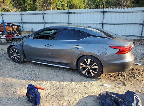 1N4AA6AP3HC391015 2017 NISSAN MAXIMA Золотой Задняя левая четверть
