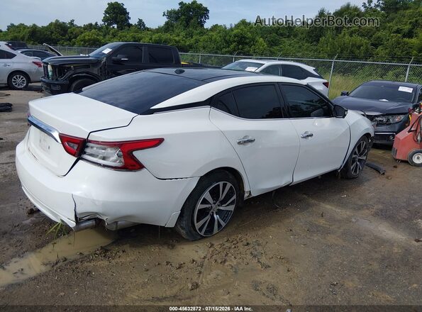 1N4AA6AP3HC391371 2017 NISSAN MAXIMA White Tył prawy