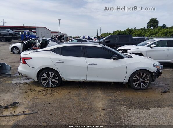 1N4AA6AP3HC391371 2017 NISSAN MAXIMA White Widok wnętrza z tyłu