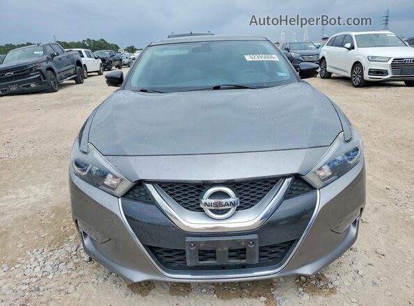 1N4AA6AP3HC417015 2017 NISSAN MAXIMA Gray Widok z przodu