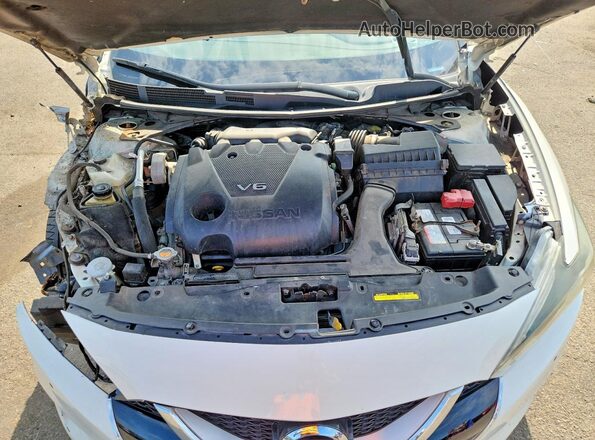1N4AA6AP3HC422649 2017 NISSAN MAXIMA White Սալոնի հետևի տեսք