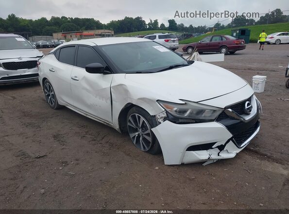 1N4AA6AP3HC443341 2017 NISSAN MAXIMA Белый Вид спереди