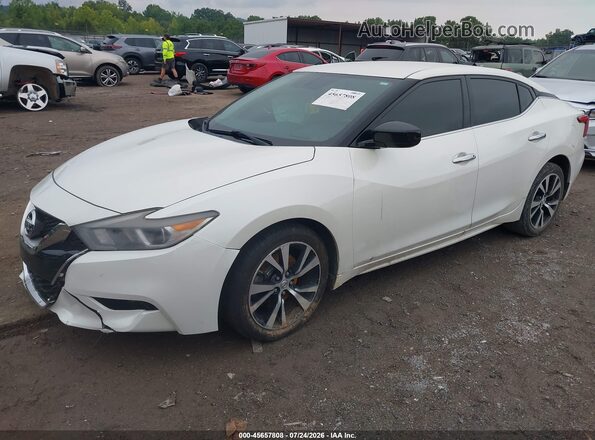 1N4AA6AP3HC443341 2017 NISSAN MAXIMA Белый Передняя левая четверть