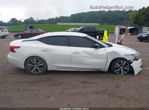 1N4AA6AP3HC443341 2017 NISSAN MAXIMA Белый Вид задней части салона