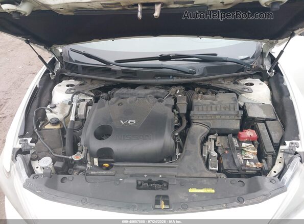 1N4AA6AP3HC443341 2017 NISSAN MAXIMA Белый Вид сзади