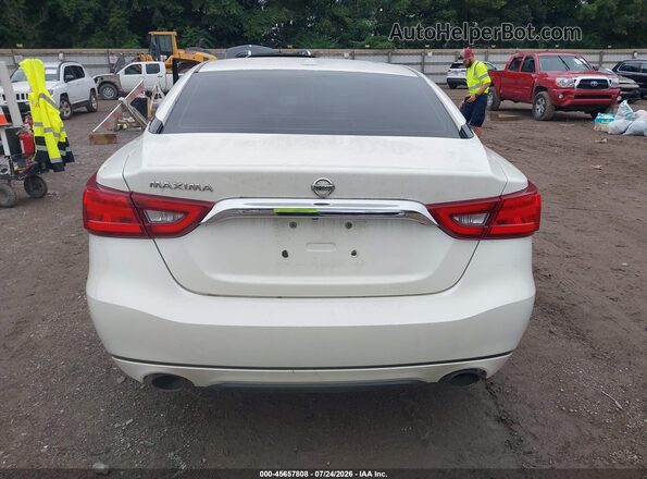 1N4AA6AP3HC443341 2017 NISSAN MAXIMA Белый 
