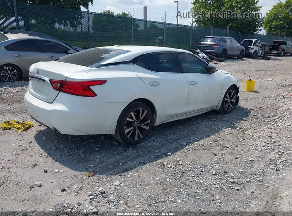 1N4AA6AP4GC407799 2016 NISSAN MAXIMA White უკანა მარჯვენა