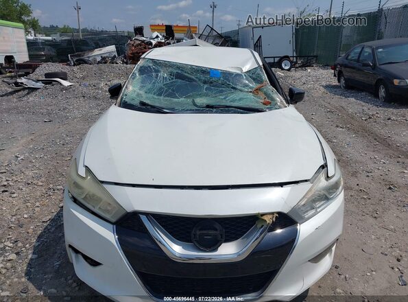 1N4AA6AP4GC407799 2016 NISSAN MAXIMA White წინა ხედი
