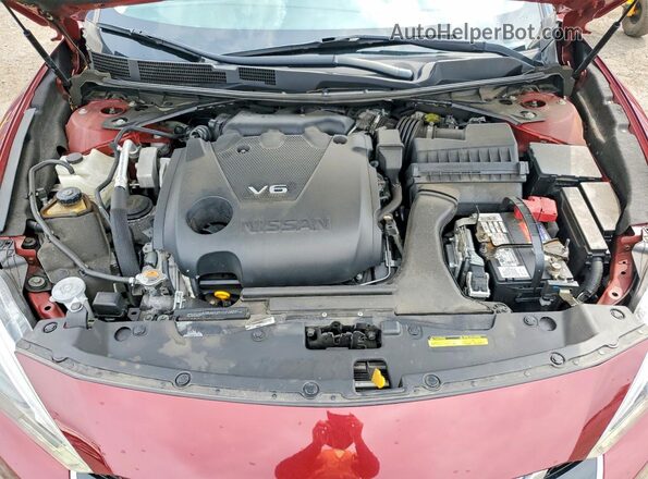 1N4AA6AP4GC416289 2016 NISSAN MAXIMA Maroon Вид задньої частини салону