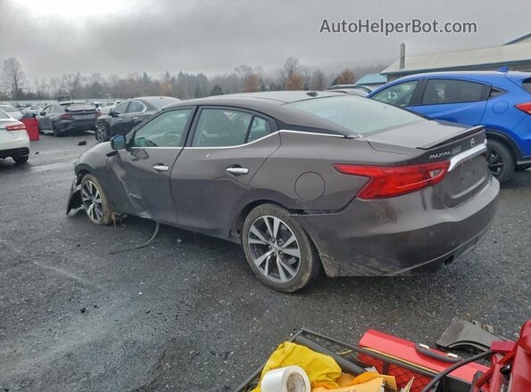 1N4AA6AP4GC429530 2016 NISSAN MAXIMA Brown Trasero izquierdo