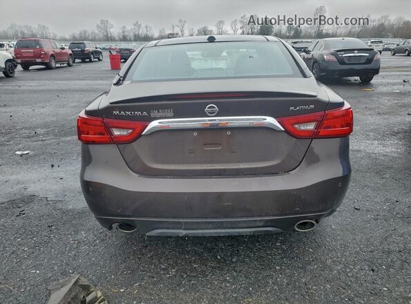 1N4AA6AP4GC429530 2016 NISSAN MAXIMA Brown Vista trasera