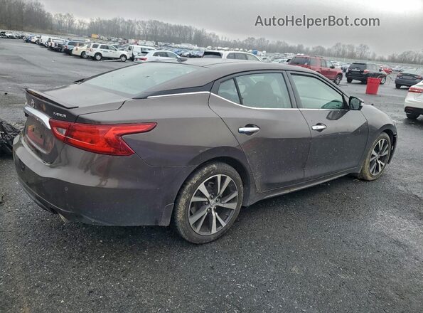 1N4AA6AP4GC429530 2016 NISSAN MAXIMA Brown Trasero derecho