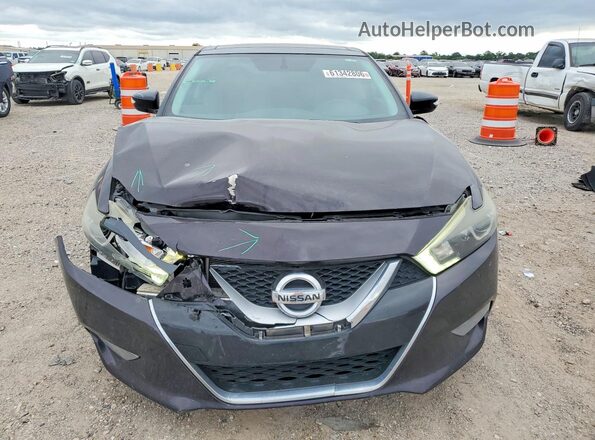 1N4AA6AP4GC431102 2016 NISSAN MAXIMA Black წინა ხედი