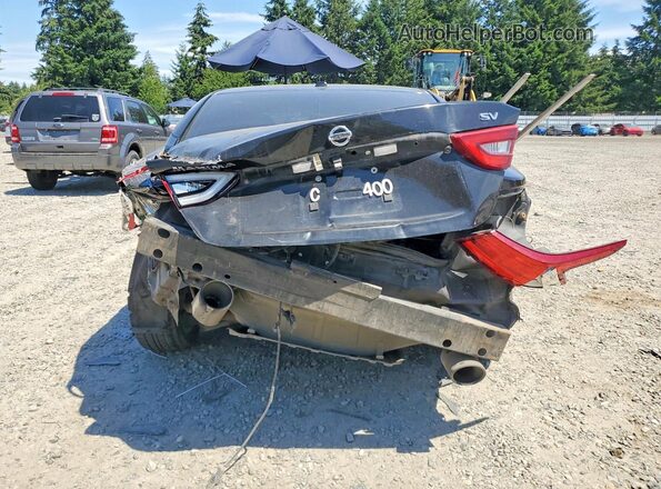 1N4AA6AP4HC375471 2017 NISSAN MAXIMA Black Հետևի տեսք