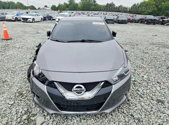 1N4AA6AP4HC381285 2017 NISSAN MAXIMA Gray წინა ხედი