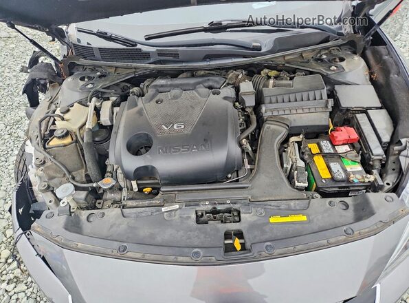 1N4AA6AP4HC381285 2017 NISSAN MAXIMA Gray უკანა სალონის ხედი