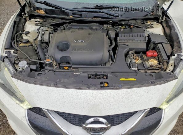 1N4AA6AP4HC396921 2017 NISSAN MAXIMA White Вид задньої частини салону