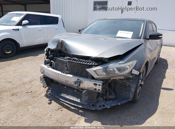 1N4AA6AP4HC405729 2017 NISSAN MAXIMA Gray წინა ხედი