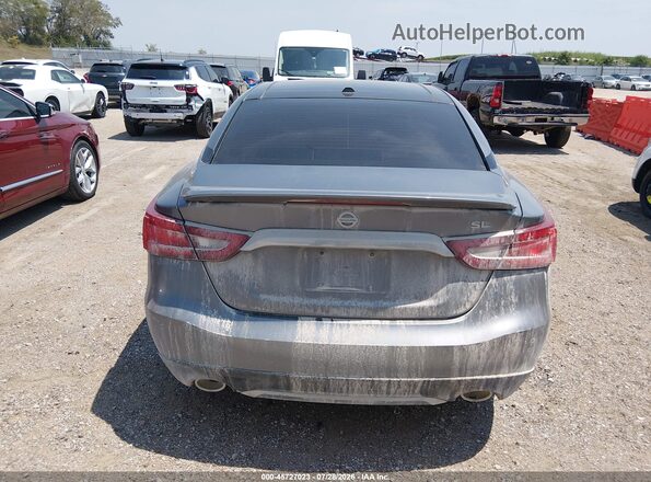 1N4AA6AP4HC405729 2017 NISSAN MAXIMA Gray 