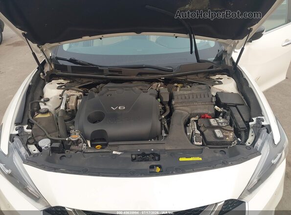 1N4AA6AP4HC434082 2017 NISSAN MAXIMA White Widok z tyłu