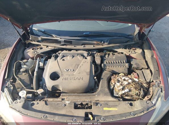 1N4AA6AP5GC380080 2016 NISSAN MAXIMA Темно-бордовый Вид сзади