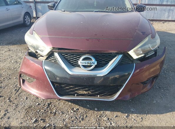 1N4AA6AP5GC380080 2016 NISSAN MAXIMA Темно-бордовый Вид спереди