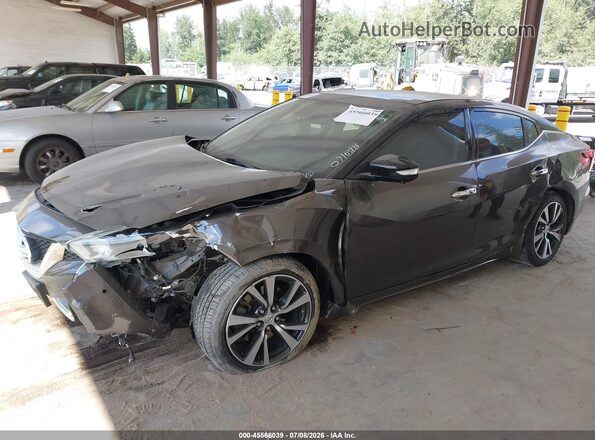 1N4AA6AP5GC393248 2016 NISSAN MAXIMA Серый Вид спереди