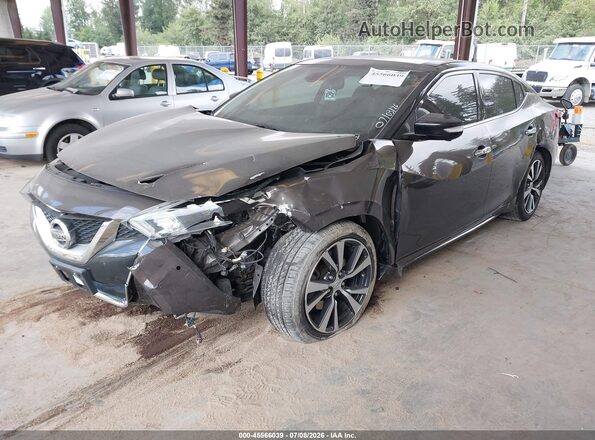 1N4AA6AP5GC393248 2016 NISSAN MAXIMA Серый Передняя левая четверть