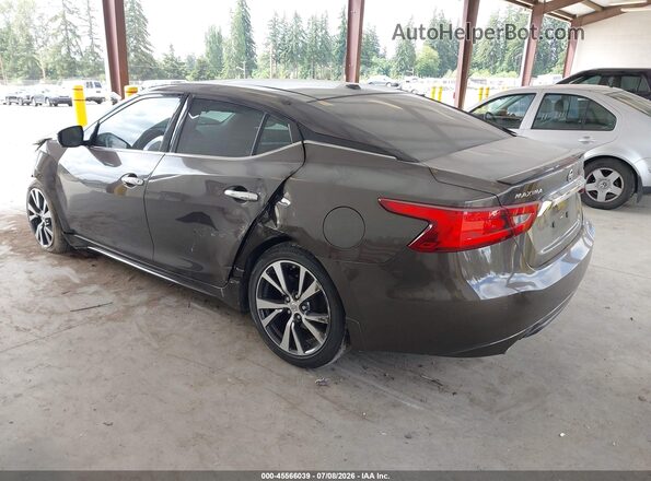 1N4AA6AP5GC393248 2016 NISSAN MAXIMA Серый Задняя левая четверть