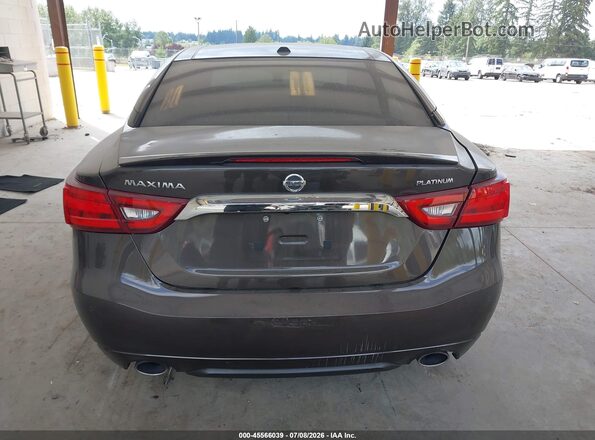 1N4AA6AP5GC393248 2016 NISSAN MAXIMA Серый 
