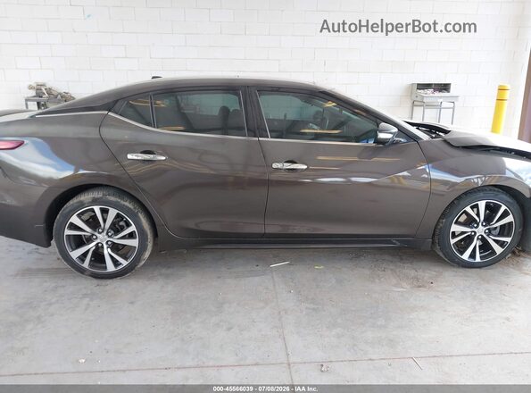 1N4AA6AP5GC393248 2016 NISSAN MAXIMA Серый Вид задней части салона