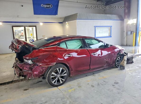 1N4AA6AP5GC418729 2016 NISSAN MAXIMA Burgundy Tył prawy