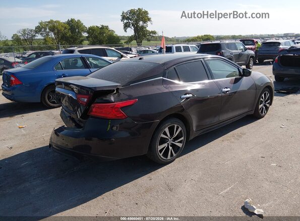 1N4AA6AP5GC425633 2016 NISSAN MAXIMA Purple Задня права чверть