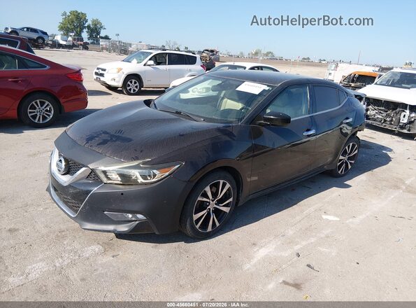 1N4AA6AP5GC425633 2016 NISSAN MAXIMA Purple Передня ліва чверть