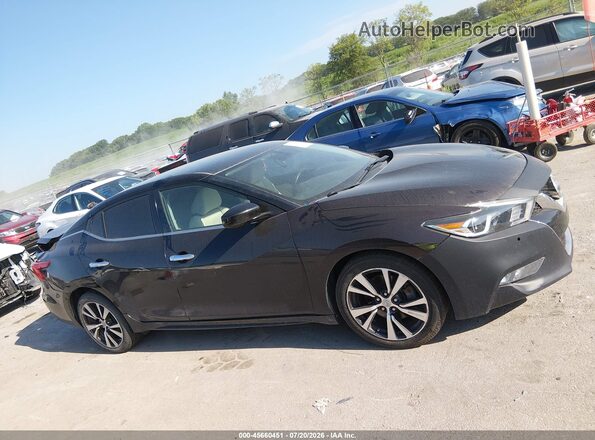 1N4AA6AP5GC425633 2016 NISSAN MAXIMA Purple Панорамний вид салону 360°
