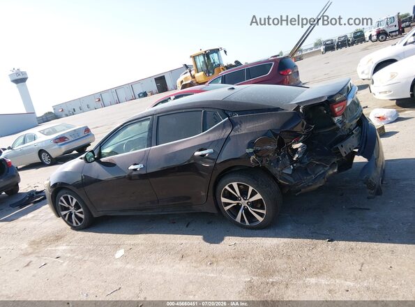 1N4AA6AP5GC425633 2016 NISSAN MAXIMA Purple 