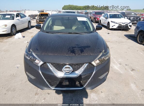 1N4AA6AP5GC425633 2016 NISSAN MAXIMA Purple Вид задньої частини салону
